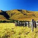 Campos de altitude - Serra da Canastra